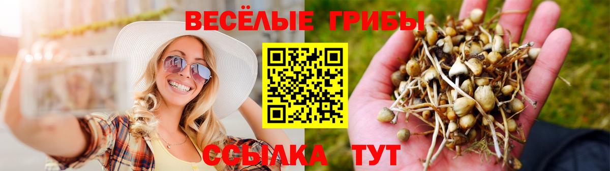 Галлюциногенные грибы MAGIC MUSHROOMS Усинск